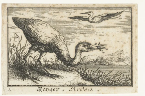 Reiger met kikker in de bek by anonymous, print, 1659-1741
