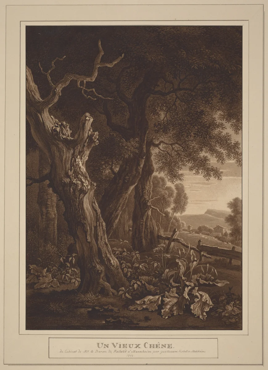 Ancient Oaks in a Landscape by Wilhelm von Kobell, Jan Wijnants, print, 1792