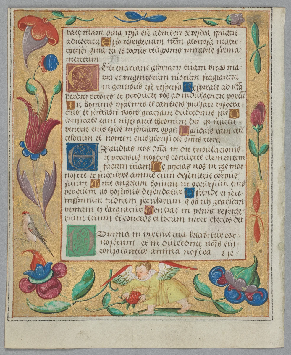 Leaf from a Psalter and Prayerbook: Putto Picking Strawberries (verso) by Unknown, manuscript, 1519-1529