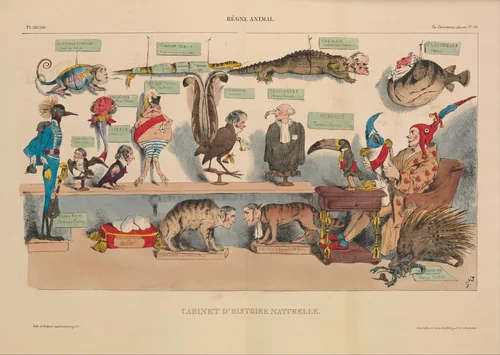 Animal Kingdom: Natural History Cabinet (Règne animal: Cabinet d'histoire naturelle), from La Caricature, plates 265 and 266 by J. J. Grandville, print, 1833