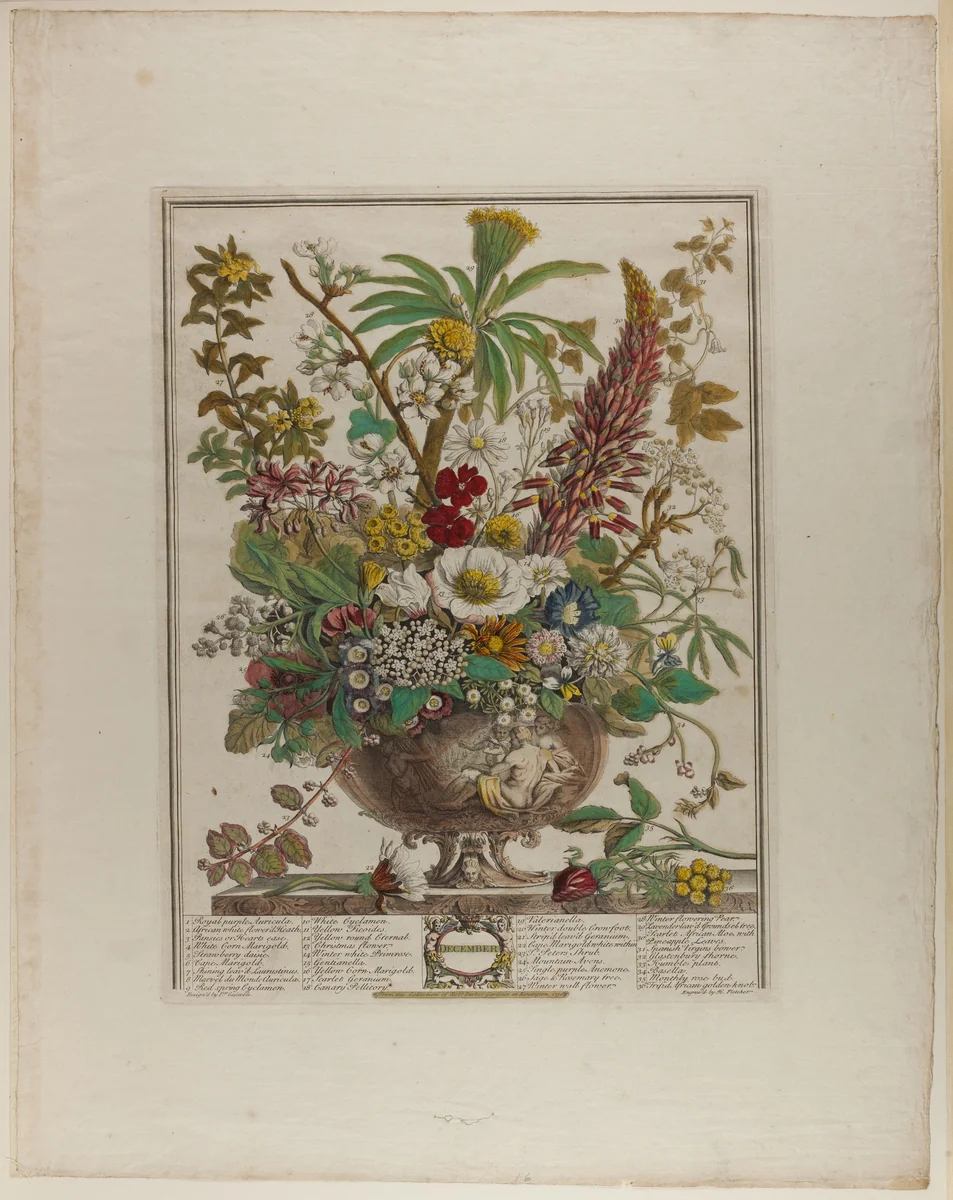 December, from Twelve Months of Flowers by Henry Fletcher
Peter Casteels III, print, 1730-1750