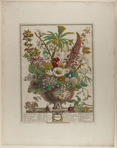 December, from Twelve Months of Flowers by Henry Fletcher
Peter Casteels III, print, 1730-1750