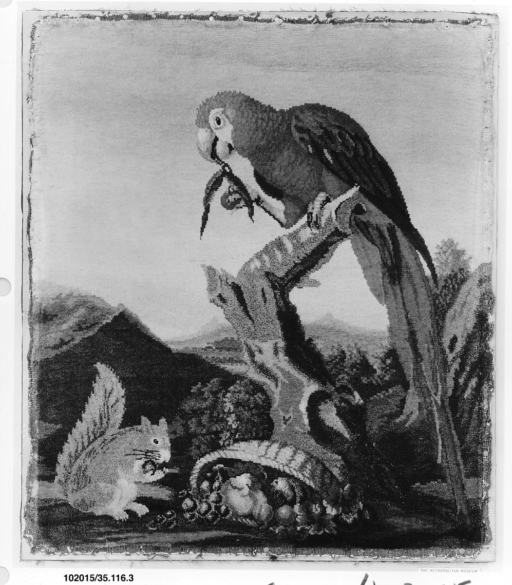 Parrot and squirrel by Savonnerie Manufactory, textile, 1730-1765