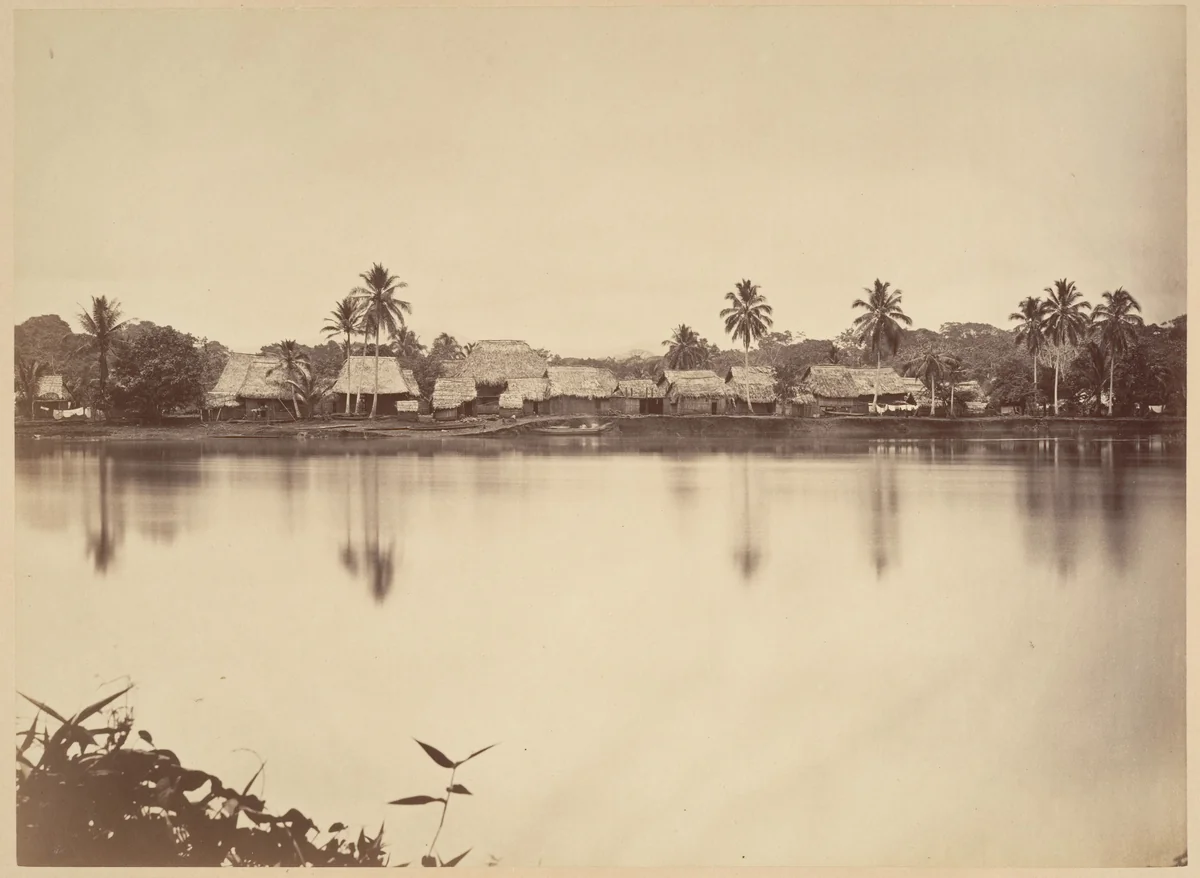 Tropical Scenery, Santa Maria del Real, Darien by John Moran, photograph, 1871