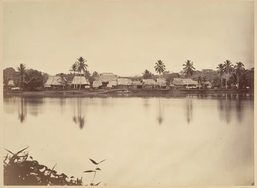 Tropical Scenery, Santa Maria del Real, Darien by John Moran, photograph, 1871