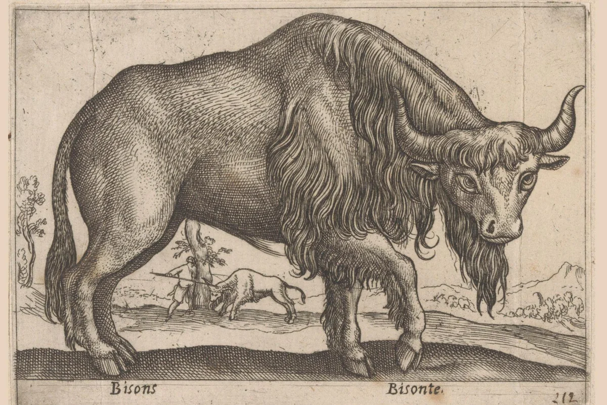 Bizon by Antonio Tempesta, print, 1565-1630