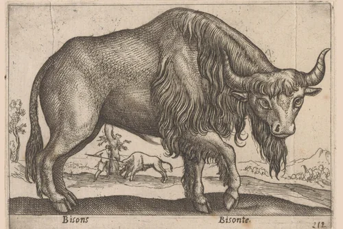 Bizon by Antonio Tempesta, print, 1565-1630