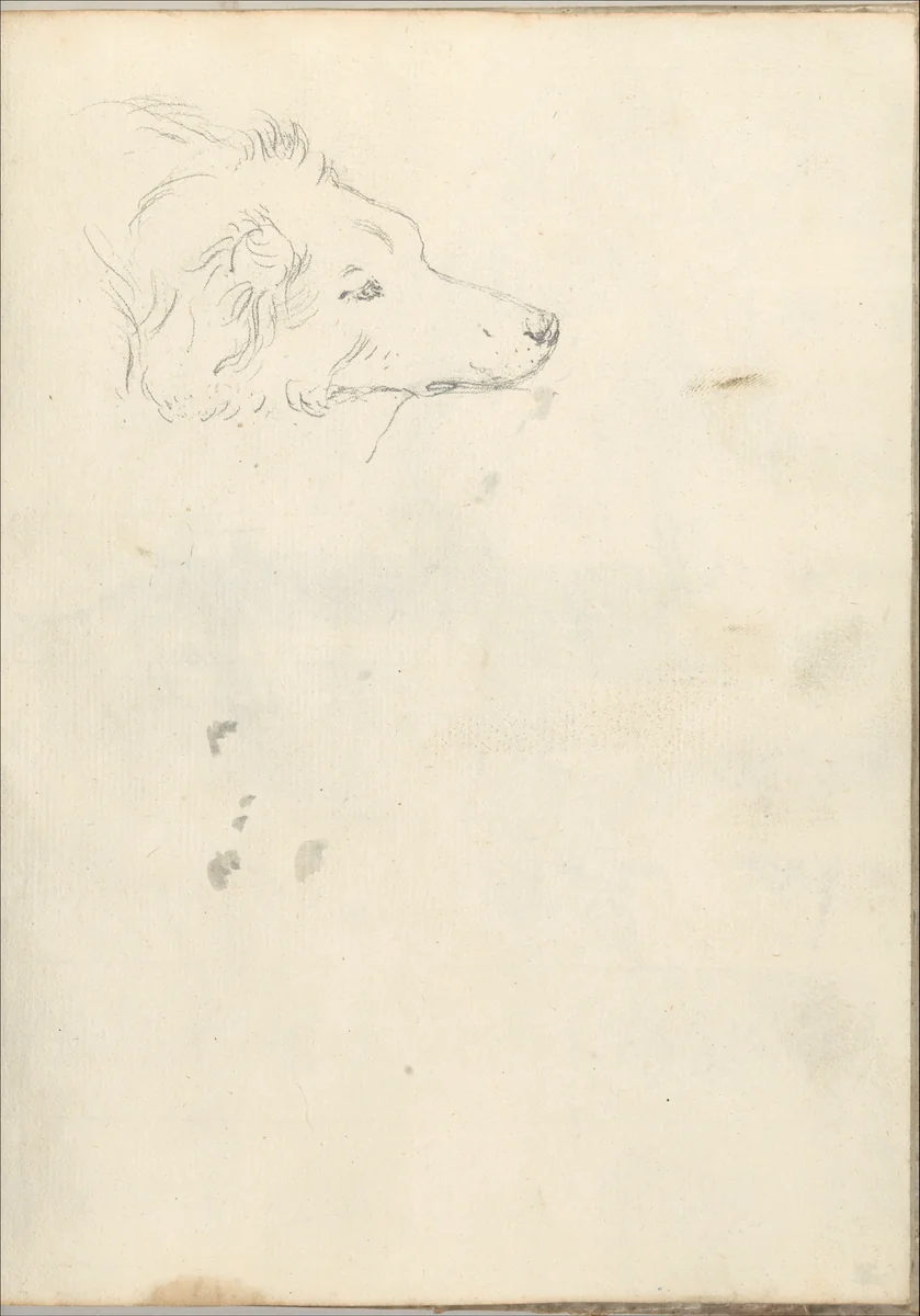 Head of a dog (Smaller Italian sketchbook, leaf 35 recto) by Joseph Wright, drawing, 1774-1775