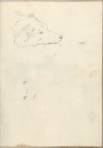 Head of a dog (Smaller Italian sketchbook, leaf 35 recto) by Joseph Wright, drawing, 1774-1775