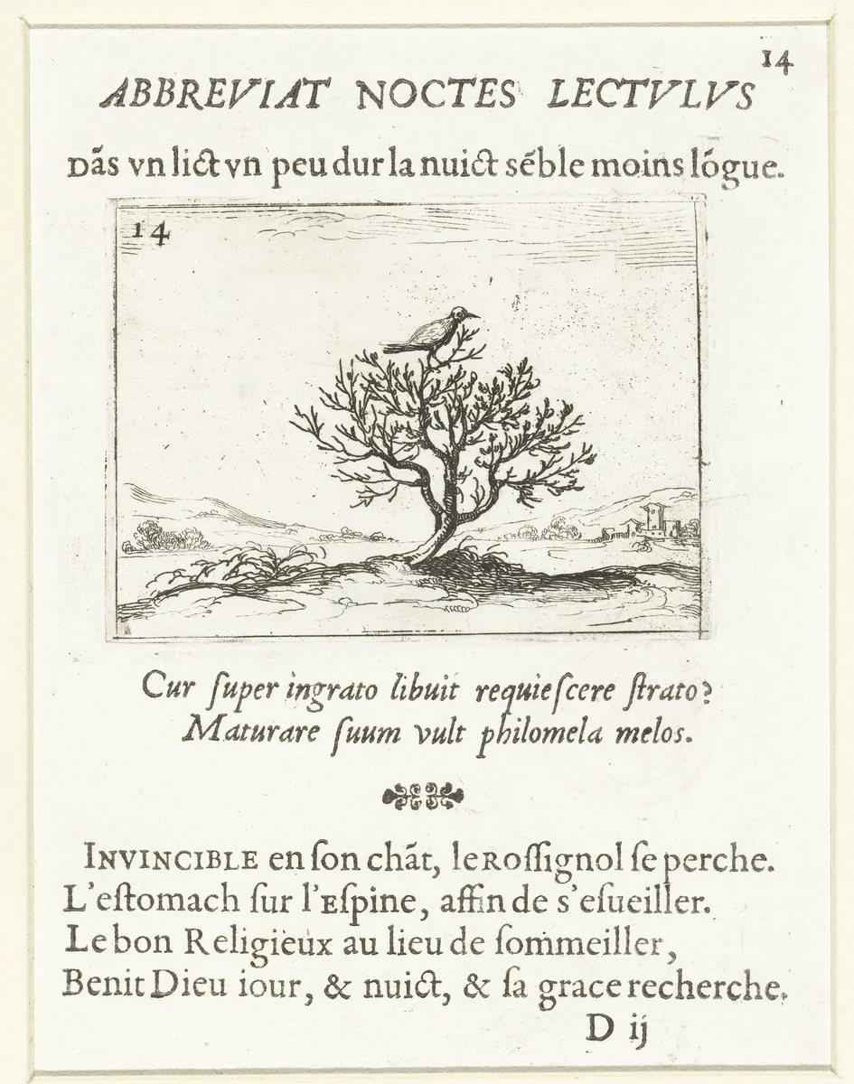 Nachtegaal op een struik by Jacques Callot, print, 1621-1635