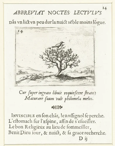 Nachtegaal op een struik by Jacques Callot, print, 1621-1635