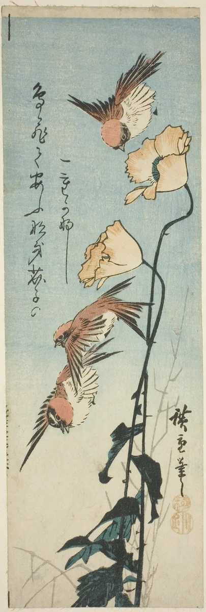Sparrows and poppies by Utagawa Hiroshige (歌川広重), print, 1850-1859