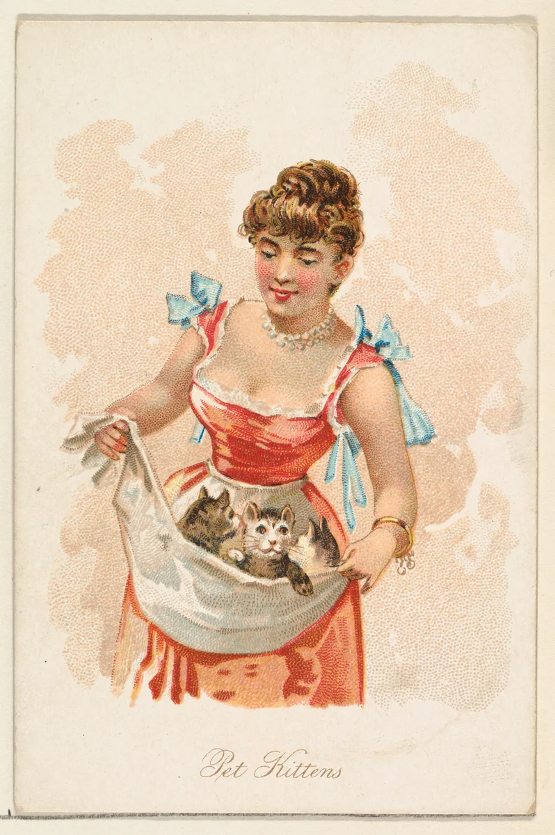 Pet Kittens, from the Household Pets series (N194) issued by Wm. S. Kimball & Co. by William S. Kimball & Company, print, 1891