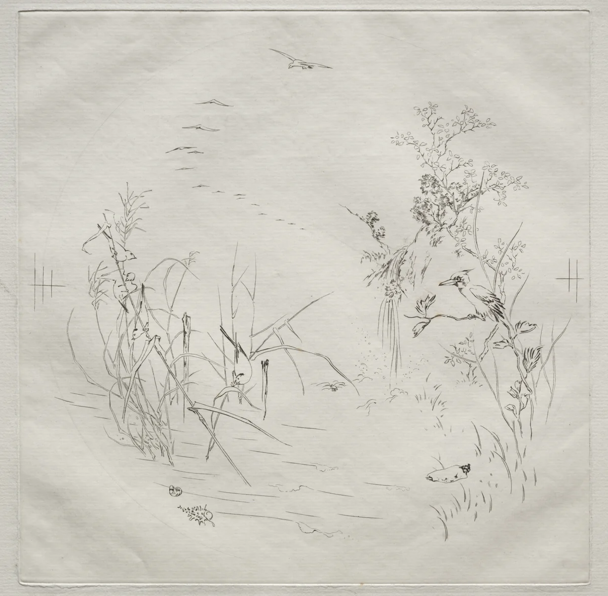 Parisian Service (Haviland service): Calm (no. 3) by Félix Bracquemond, print, 1875