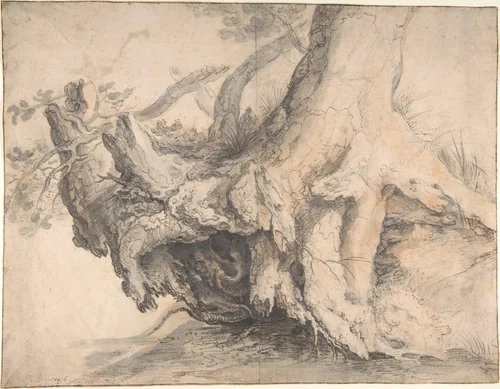Study of a Tree by Roelandt Savery, drawing, 1601-1612