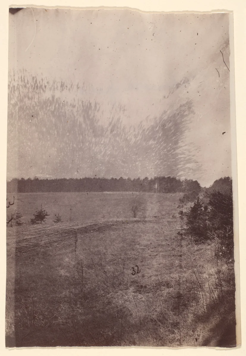 [The Wilderness Battlefield] by G. O. Brown, photograph, 1866
