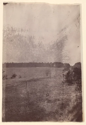 [The Wilderness Battlefield] by G. O. Brown, photograph, 1866