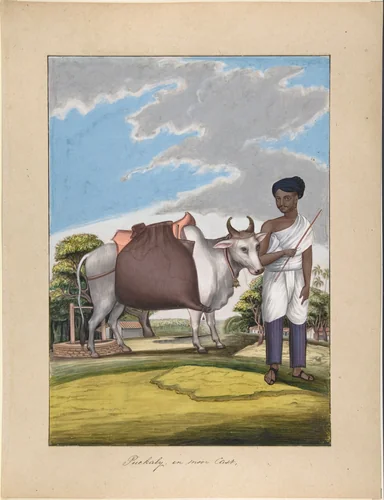 Puckaly in Moor Cast, from Indian Trades and Castes by anonymous, drawing, 1835-1845