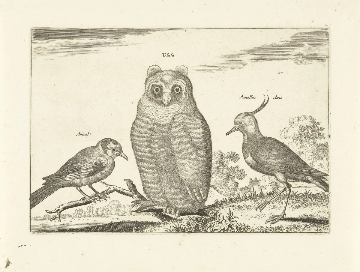 Drie vogels by anonymous, print, 1659