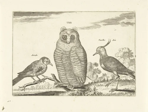 Drie vogels by anonymous, print, 1659