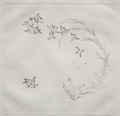 Parisian Service (Haviland service): The Fight (no. 2) by Félix Bracquemond, print, 1875