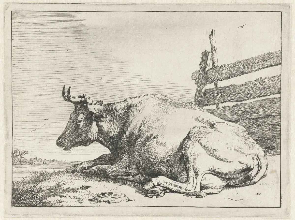 Liggende koe bij een hek by Paulus Potter, print, 1650