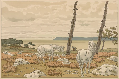 Aspects of Nature: The Bay by Henri Rivière, print, 1897