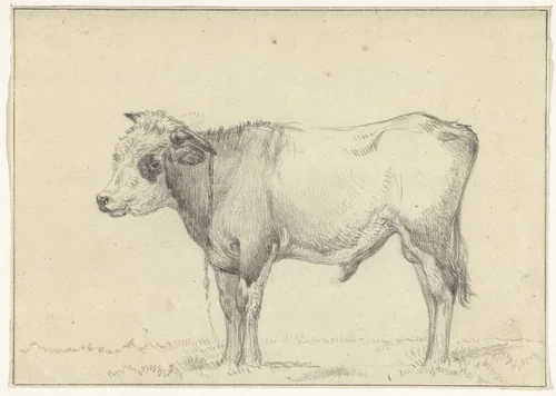 Staande jonge stier, naar links by Jean Bernard, drawing, 1775-1833