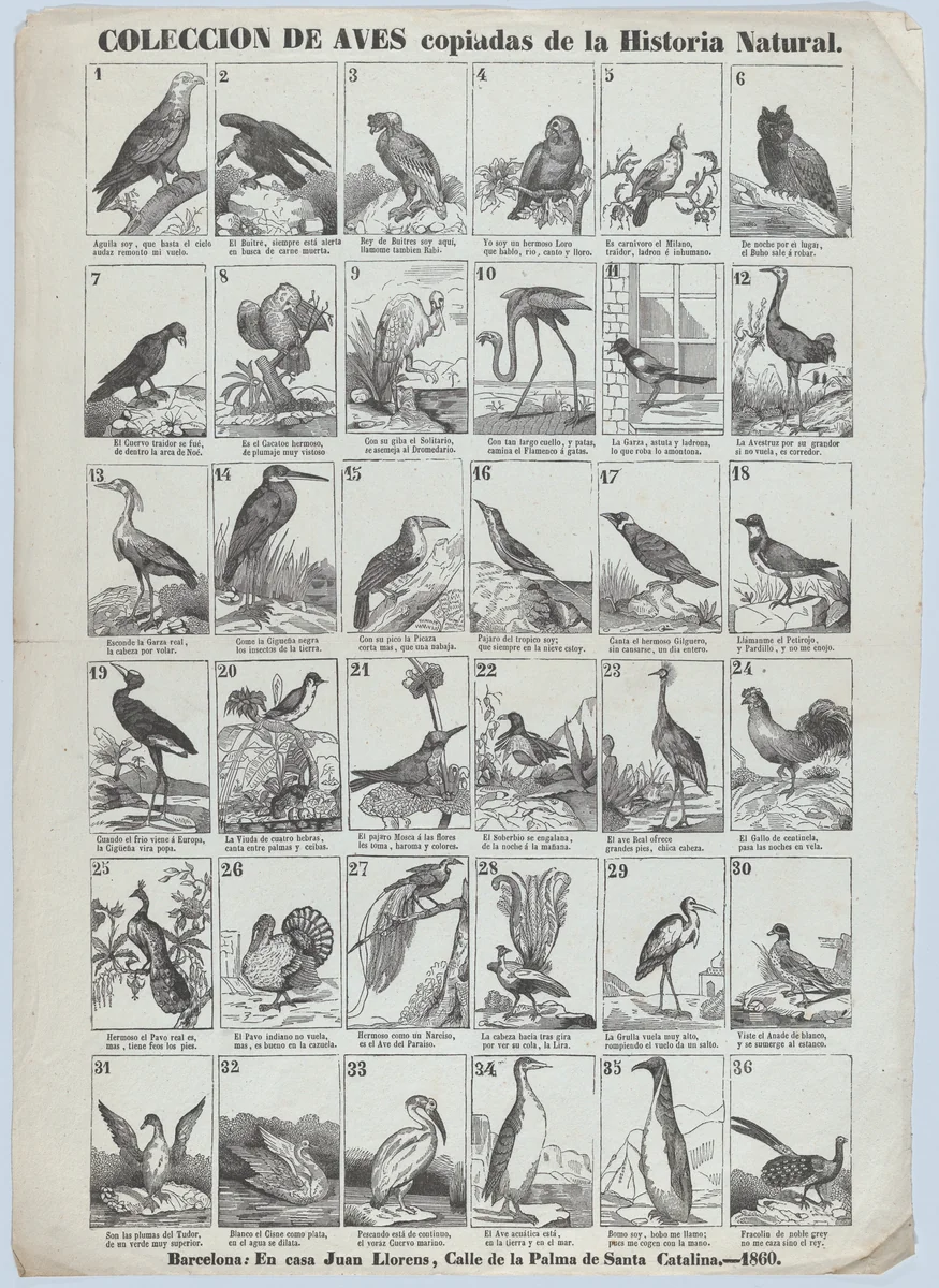 Broadside with images of 36 birds by Juan Llorens, print, 1860