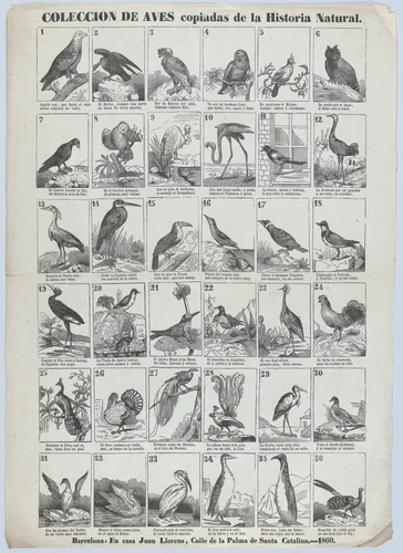 Broadside with images of 36 birds by Juan Llorens, print, 1860