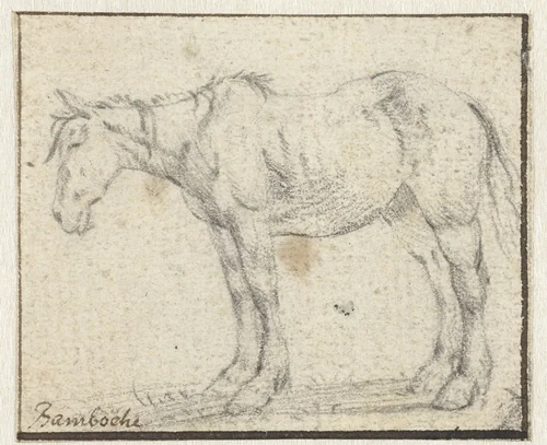 Staand paard, naar links by Dirk Stoop, drawing, 1628-1681