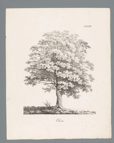 Eik by J. Bernard, print, 1820-1833