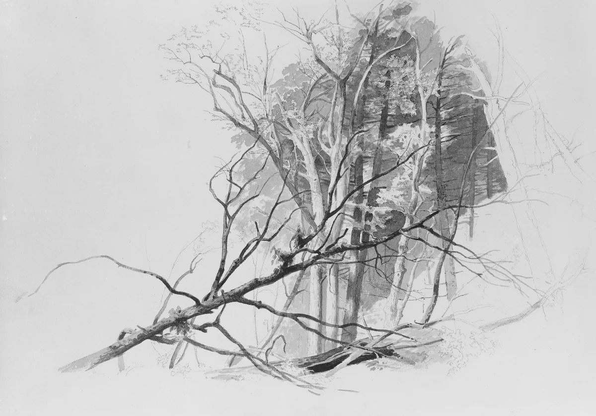 Forest Scene by Johann Hermann Carmiencke, artwork, 1810-1867