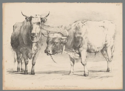 Twee runderen met juk by Thomas Sidney Cooper, print, 1837
