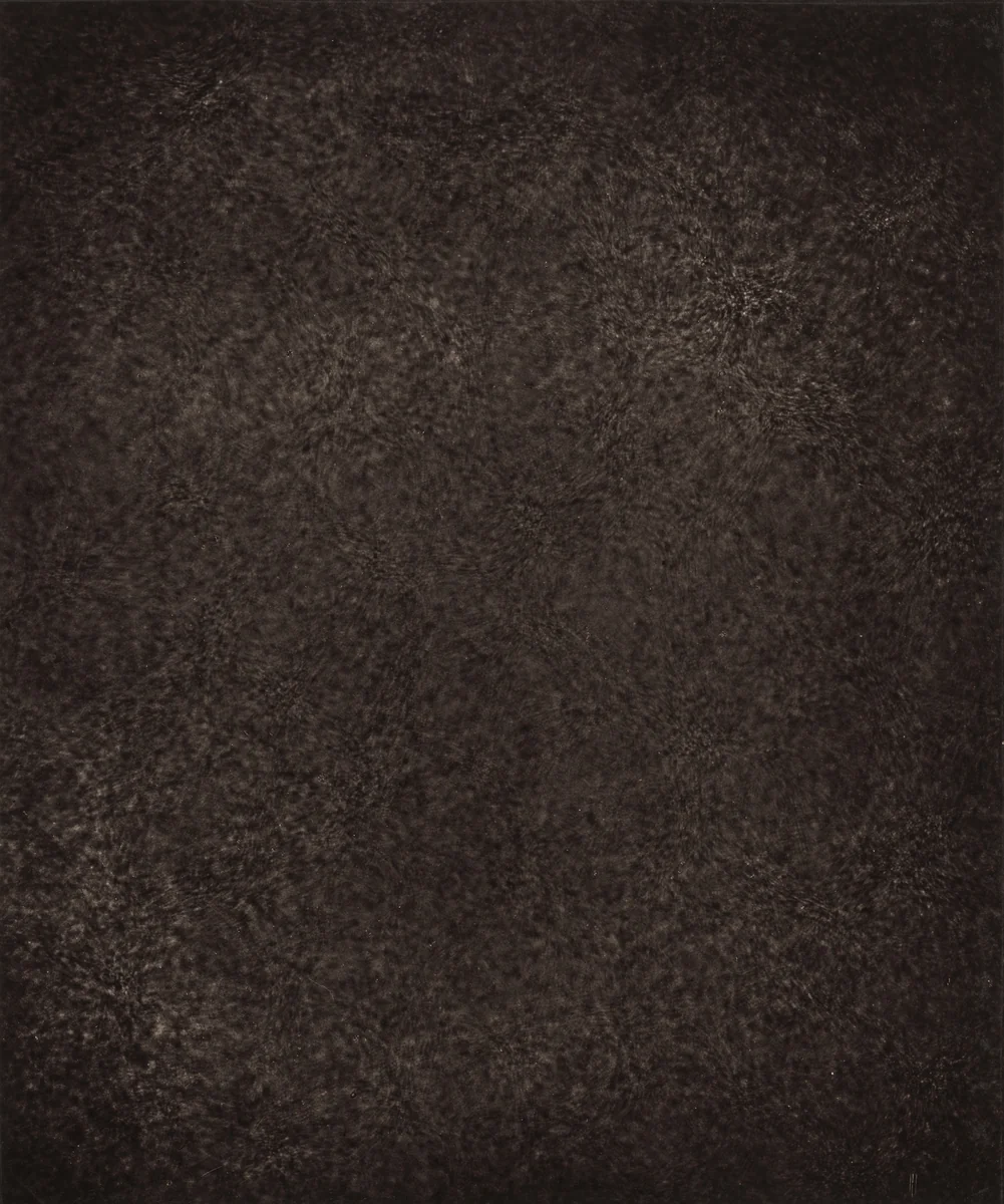 Région Centrale (Grand Réseau), June 7, 1878, 6h 2m 9s by Jules Janssen, photograph, 1877