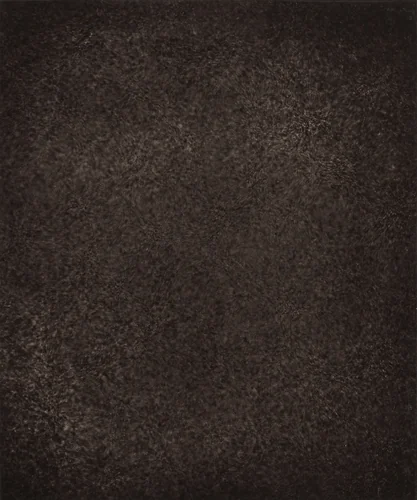 Région Centrale (Grand Réseau), June 7, 1878, 6h 2m 9s by Jules Janssen, photograph, 1877