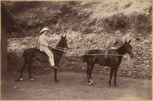 Captain H.S. Rawhinson (recto) by Raja Deen Dayal, photograph, 1877-1892