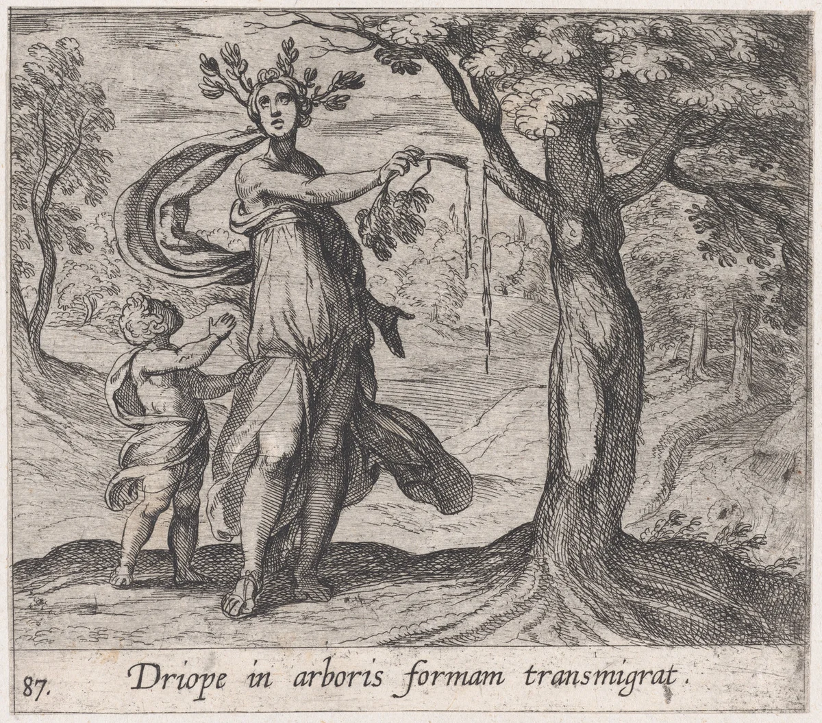 Plate 87: Dryope Changed into a Lotus Tree (Driope in arboris formam transmigrat), from Ovid's 'Metamorphoses' by Antonio Tempesta, print, 1606