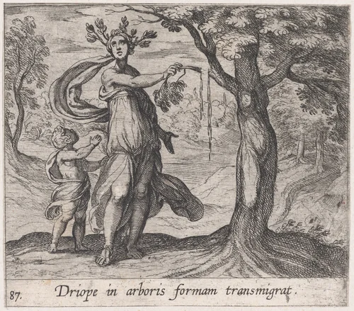 Plate 87: Dryope Changed into a Lotus Tree (Driope in arboris formam transmigrat), from Ovid's 'Metamorphoses' by Antonio Tempesta, print, 1606