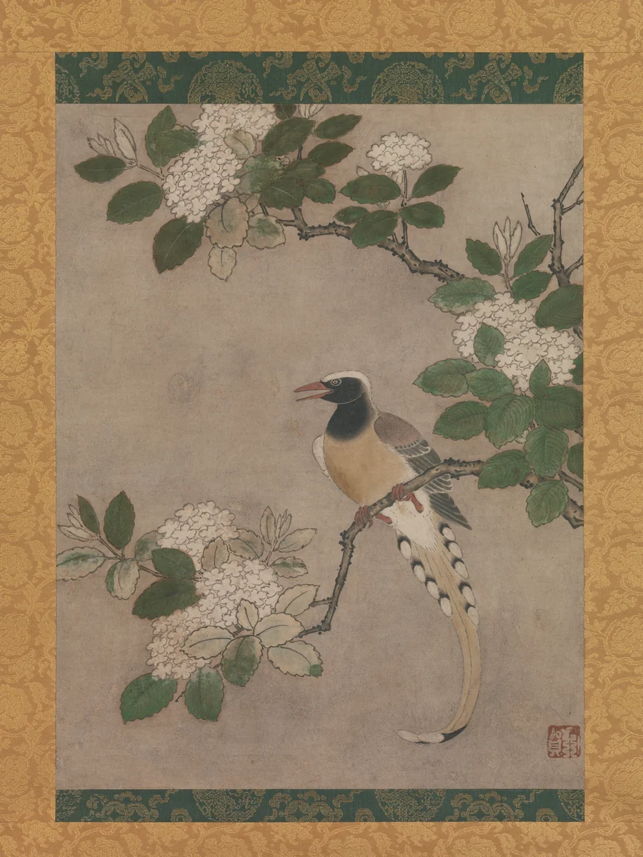 Magpie on Viburnum Branch by Genga, painting, 1500-1533