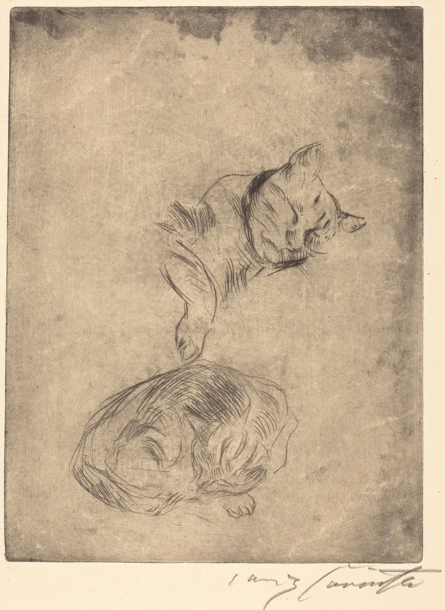 Katzenstudie (Study of Cats) by Lovis Corinth, print, 1920