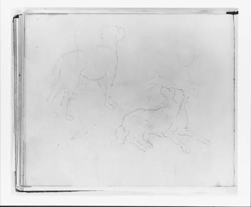 Two Studies of a Dog: Three Quarter Rear View Standing; Lying Down (from Sketchbook) by Francis William Edmonds, artwork, 1835-1839