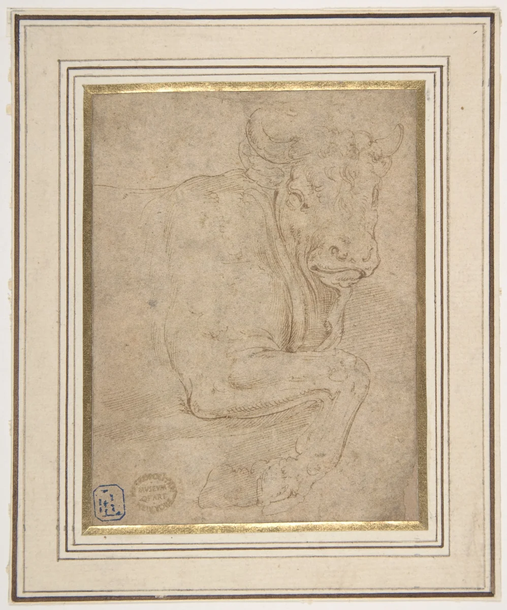 Head and Front Quarters of a Bull by Battista Franco, drawing, 1510-1561