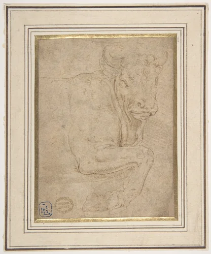 Head and Front Quarters of a Bull by Battista Franco, drawing, 1510-1561