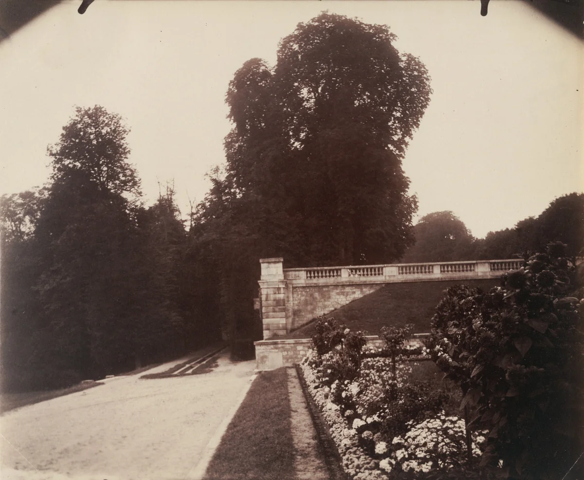 Saint-Cloud by Eugène Atget, photograph, 1919