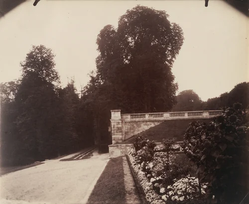 Saint-Cloud by Eugène Atget, photograph, 1919