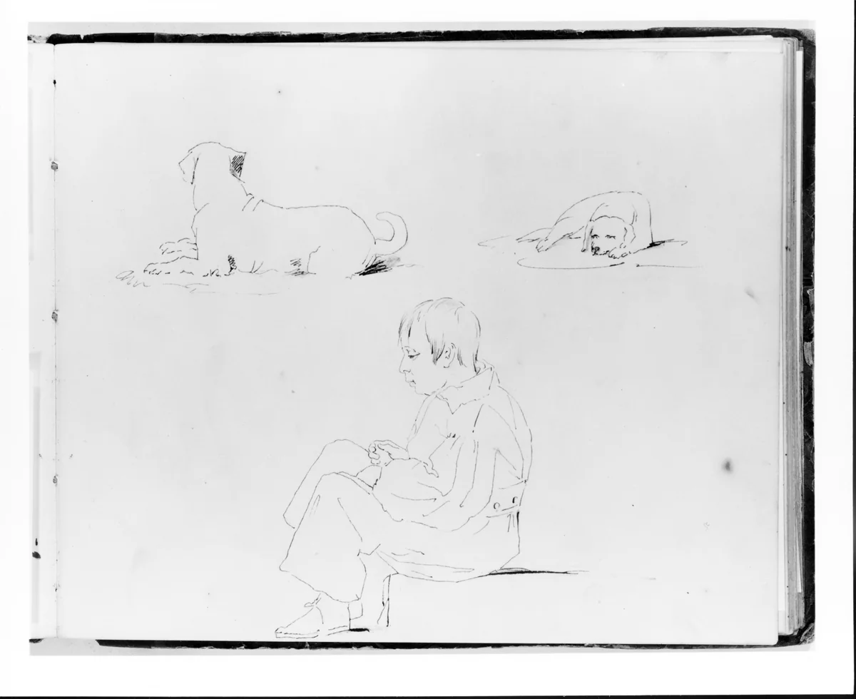 Two Dogs and a Boy Seated (from Sketchbook) by Francis William Edmonds, artwork, 1835-1839