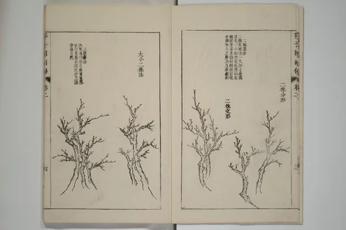 The Mustard Seed Garden Painting Manual (Japanese reprint) 芥子園畫傳 by Wang Gai (王槩), book, 1743-1763