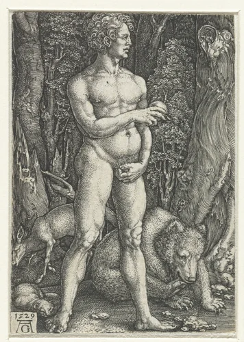 Adam by Unknown, print, 1529
