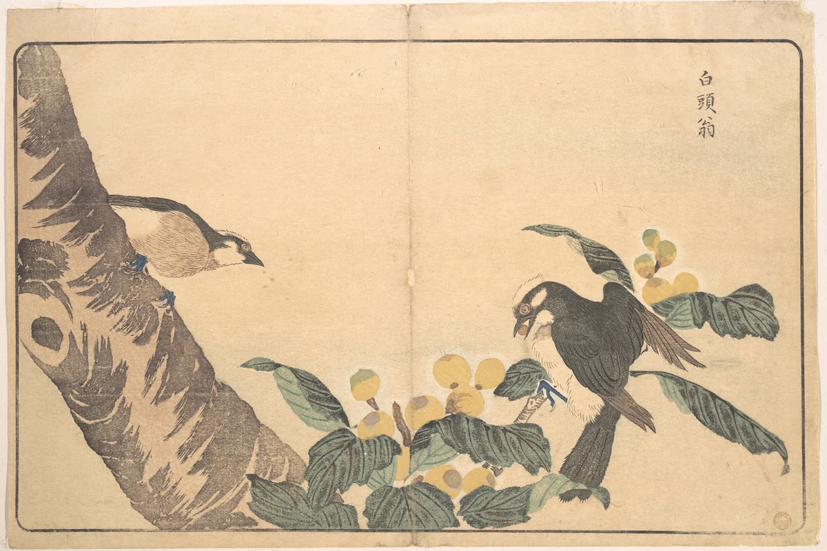Bai tou weng by Kuwagata Keisai (鍬形蕙斎), print, 1789
